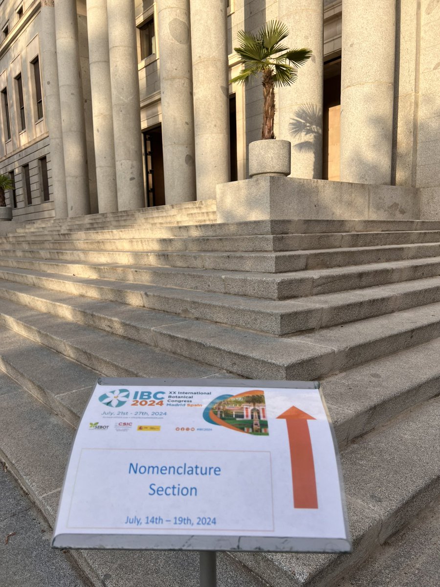 Today is our last day in the #NomenclatureSection #IBC2024. Great opportunity and experience building the next #MadridCode

#Taxonomists should participate at least once to know how  #TheCode users amend it each six-years for the nomenclature of the future,

#WeAreBotanist