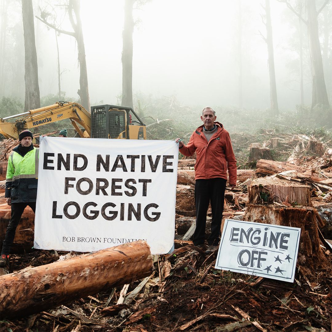 BobBrownFndn's tweet photo. "For the sake of both the #climate &amp; extinction crises, what’s left of the natural forests around the Earth should be protected — all of them" — Bob Brown.

✍️ Sign our native forest declaration calling on @AlboMP to #endnativeforestlogging now —  https://t.co/BQjMlUfe9O https://t.co/vYR05oCNC4