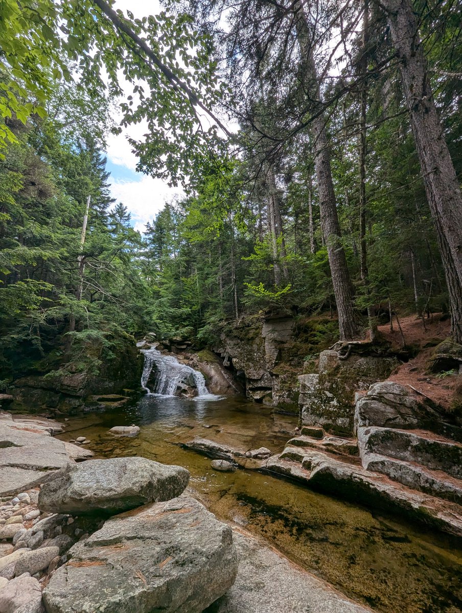 Very exciting talks at the #GRCToxPath 2024, and lots of extremely friendly people to discuss with ! I hope to come back in 2 years 🦠