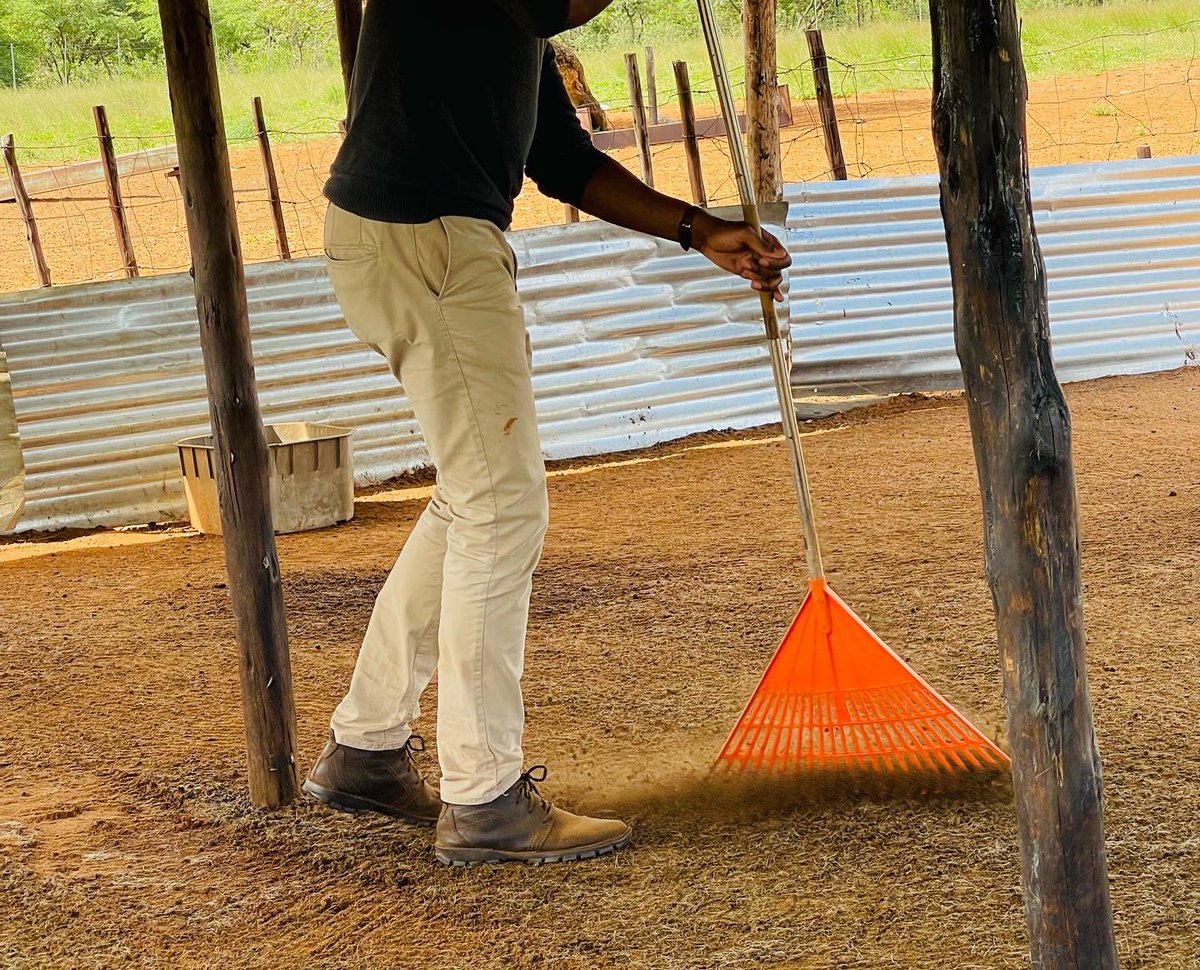 The management of kids during this period requires you to be hands on. 
The basics; deworm at 4 weeks with a dewormer that targets milk tapeworm, give them additional milk and creep feed as, give their parents Vit A and additional feed. Keep kraals clean.Visit our pages for more.