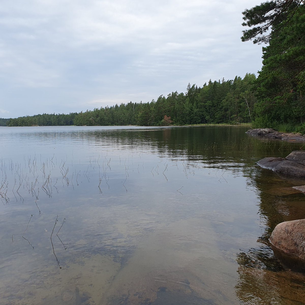 JPSconsulting tweet media