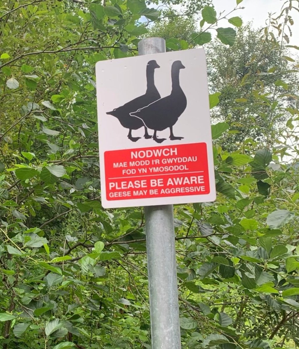 Ian Jones tweet media