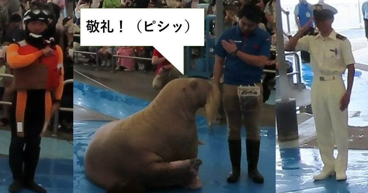 敬礼してる猿 海上保安庁 on X