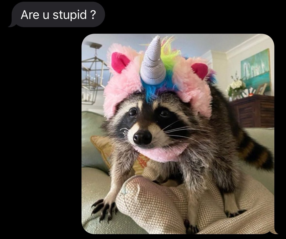 raccoon aesthetic. (@raccoonesthetic) on Twitter photo 