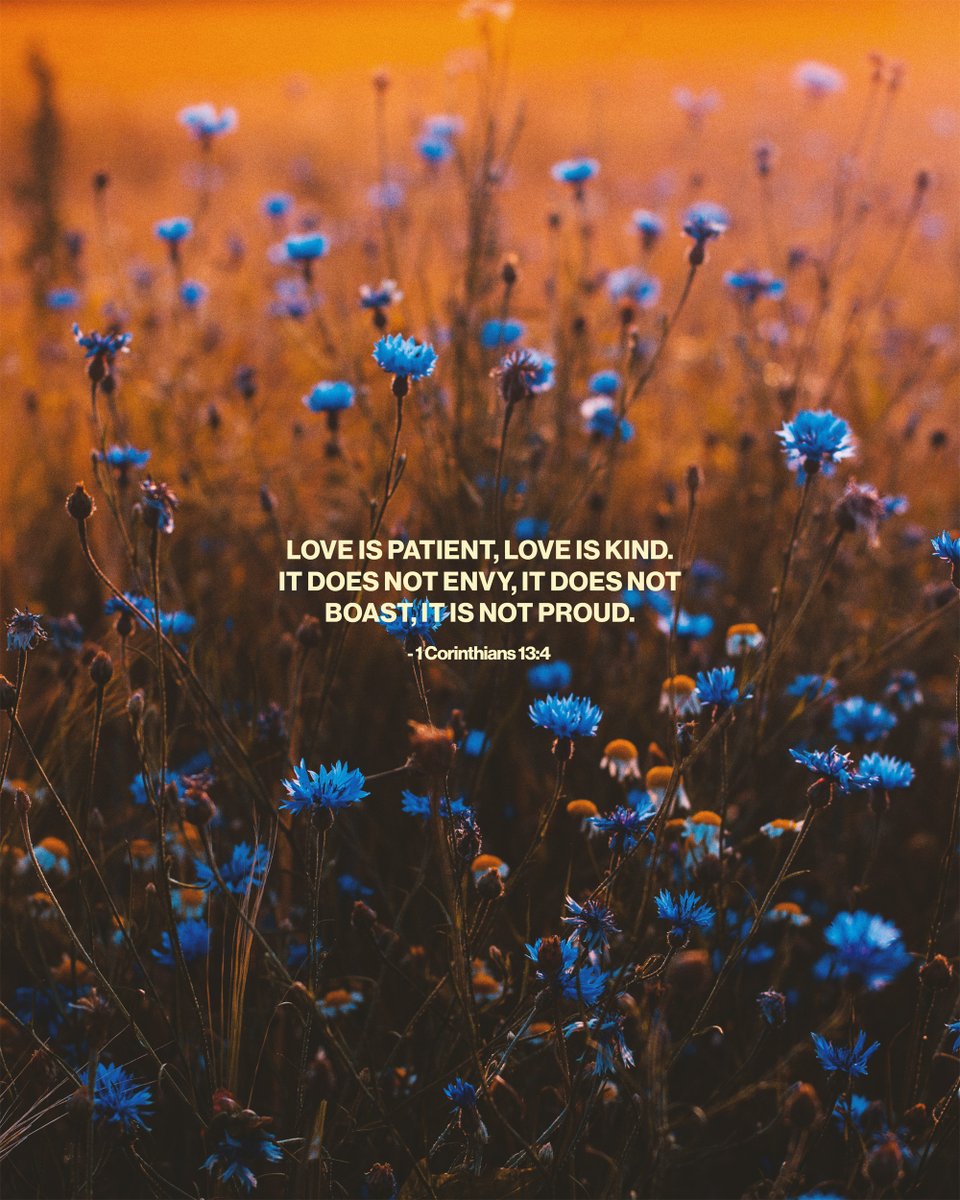 johnortberg's tweet image. True love goes beyond words—it's shown through patience, kindness, and humility. Love with intention today.

#votd #bibleverse #Bible #scripture #bibleverseoftheday #verseoftheday #christian #faith
