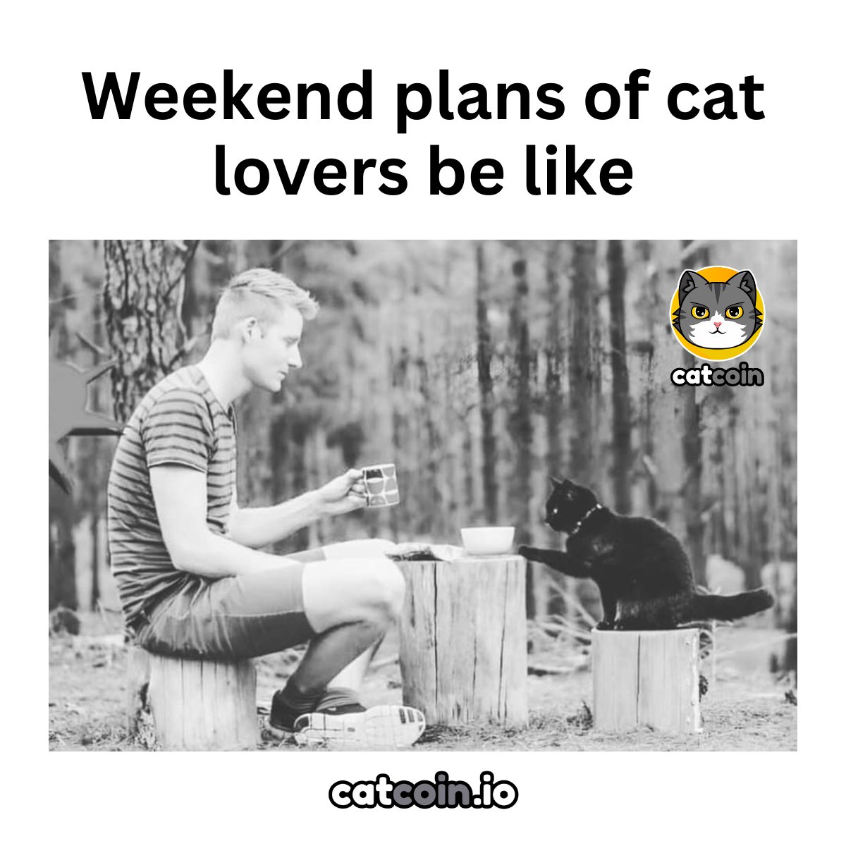 officialcatcoin's tweet photo. Happy weekend to $CATS and you! - $20

• Follow @officialcatcoin
• Retweet 
• And comment #Catcoin #USDT #giveaway 

48 hours https://t.co/eIZsueNOwv