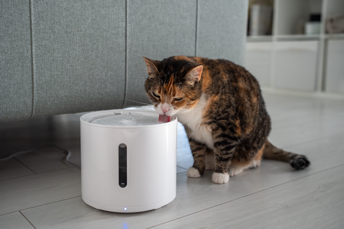 RevesConnectes's tweet photo. Boire davantage avec Waterdrop et Lucy : Test d’une révolution pour la gestion de l’hydratation ?
https://t.co/RrabBGyHhi
#Eau #Hydratation #Application #IoT #Objetconnecté #Santé #eSanté #Startup #Product #ProductManager https://t.co/14YQxe8GrL