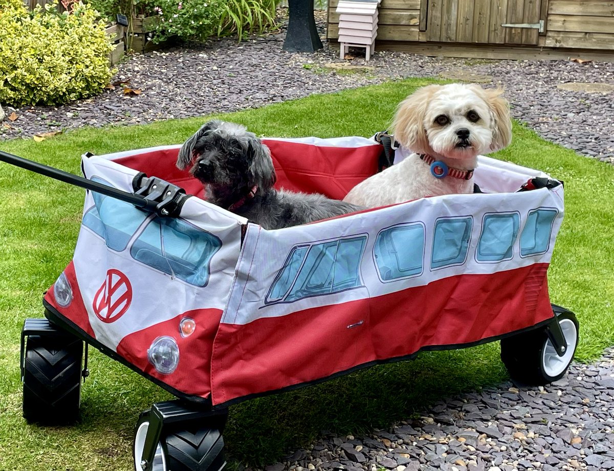 OGWL's tweet image. Beep beep