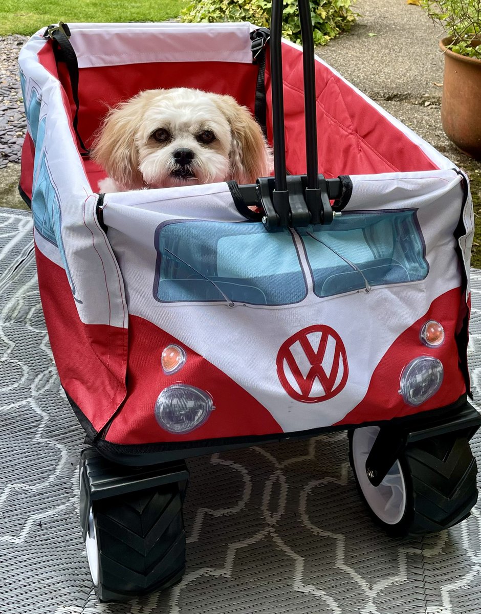 OGWL's tweet image. Beep beep