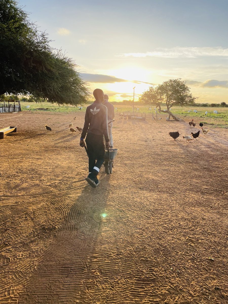 Keeping Kraals clean has a million benefits and is the first rule of sound animal husbandry.

If for anything do it to reduce flies &amp; dust at the farm…sweep kraals weekly

Visit our pages on all social media platforms to learn more about the benefits of keeping your kraals clean