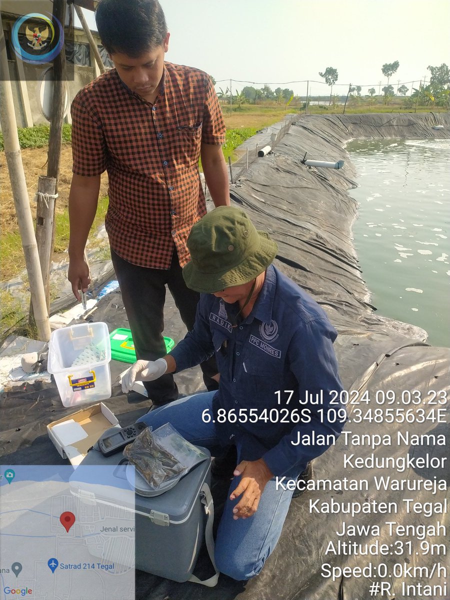 onimaedah's tweet photo. Rosiana I (17/7)
 Luhkan Kabupaten Tegal Anjangsana dan pendampingan monitoring residu udang Vannamei kec.Warureja kab tegal
#Luhlapor
@bppsdm_puslatkp
#Panen
#GiatLuhkanSatminkalTegal
#GiatLuhkanSatminkalBogor https://t.co/EbkqItUCv9