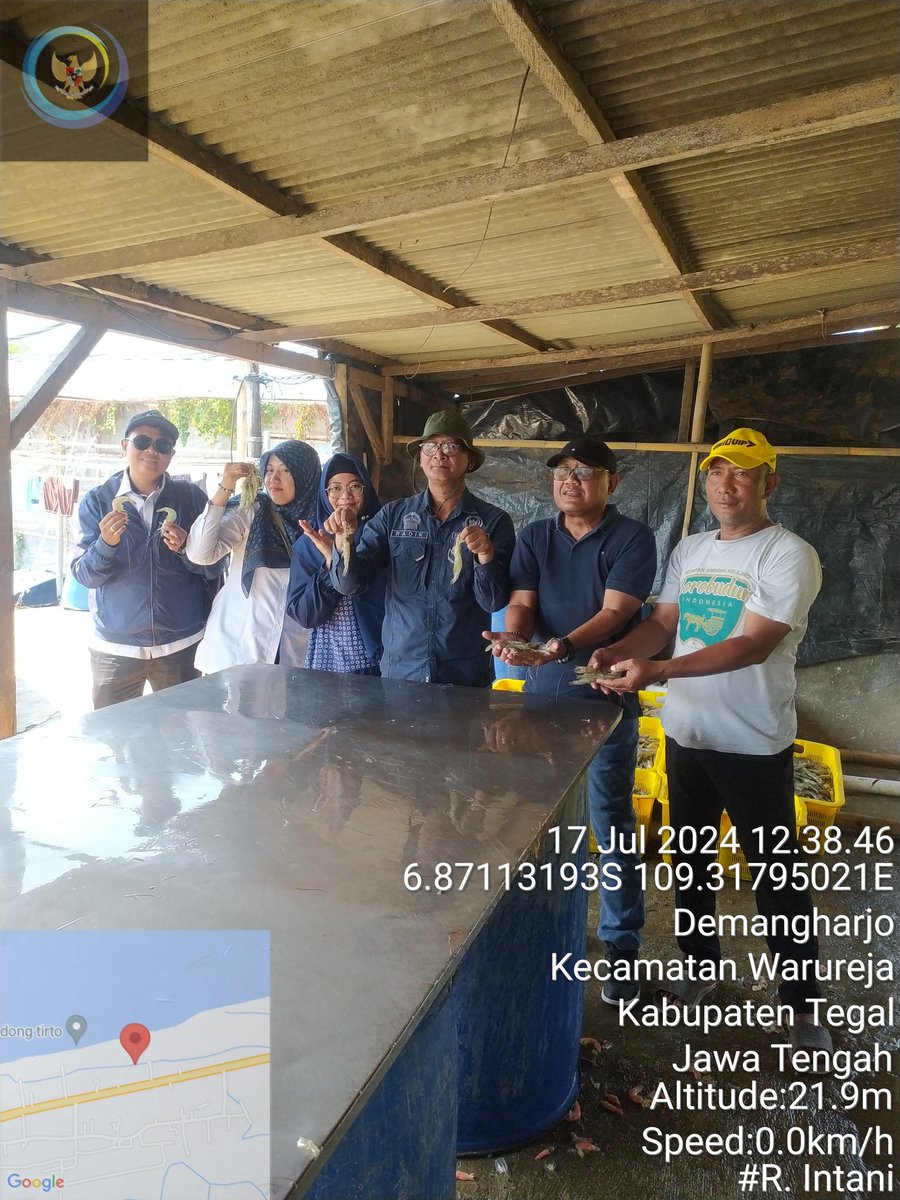 onimaedah's tweet photo. Rosiana I
 Luhkan Kabupaten Tegal Anjangsana dan pendampingan panen udang Pokdakan udang mas  Kec.warureja Kab.Tegal Hasil 6500kg Size 35 ek/Kg Harga Jual 85.000/Kg
#Luhlapor
@bppsdm_puslatkp
#Panen
#GiatLuhkanSatminkalTegal
#GiatLuhkanSatminkalBogor https://t.co/svyF1HN80N