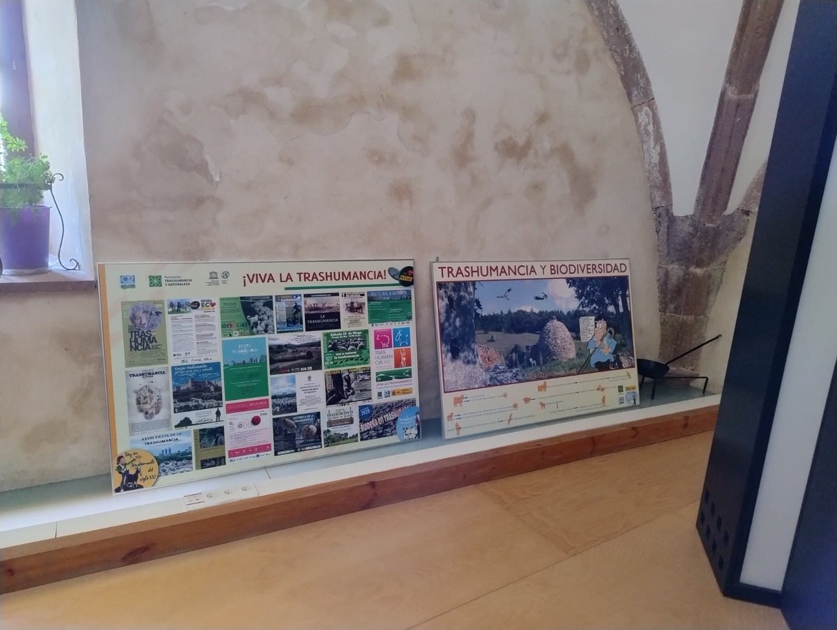 fundacionO2's tweet photo. #Neila
La exposición "Trashumancia en el Siglo XXI" estará disponible hasta finales de agosto en la casa del parque natural de las Lagunas de Neila, para explicar los recorridos de los pastores trashumantes.
@mitecogob @KingspanES @Junta_CyL https://t.co/atZlzRjbh7