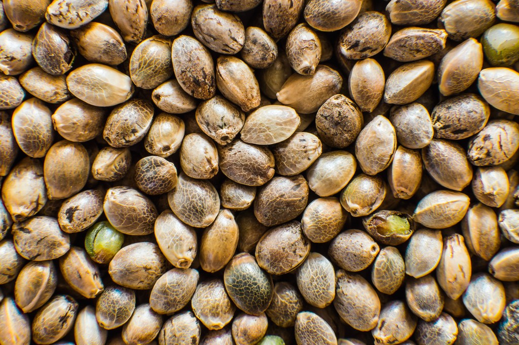 From seed to bottle we know everything about the journey our CBD extracts took prior to being used in our products. 

Infinity-CBD.co.uk