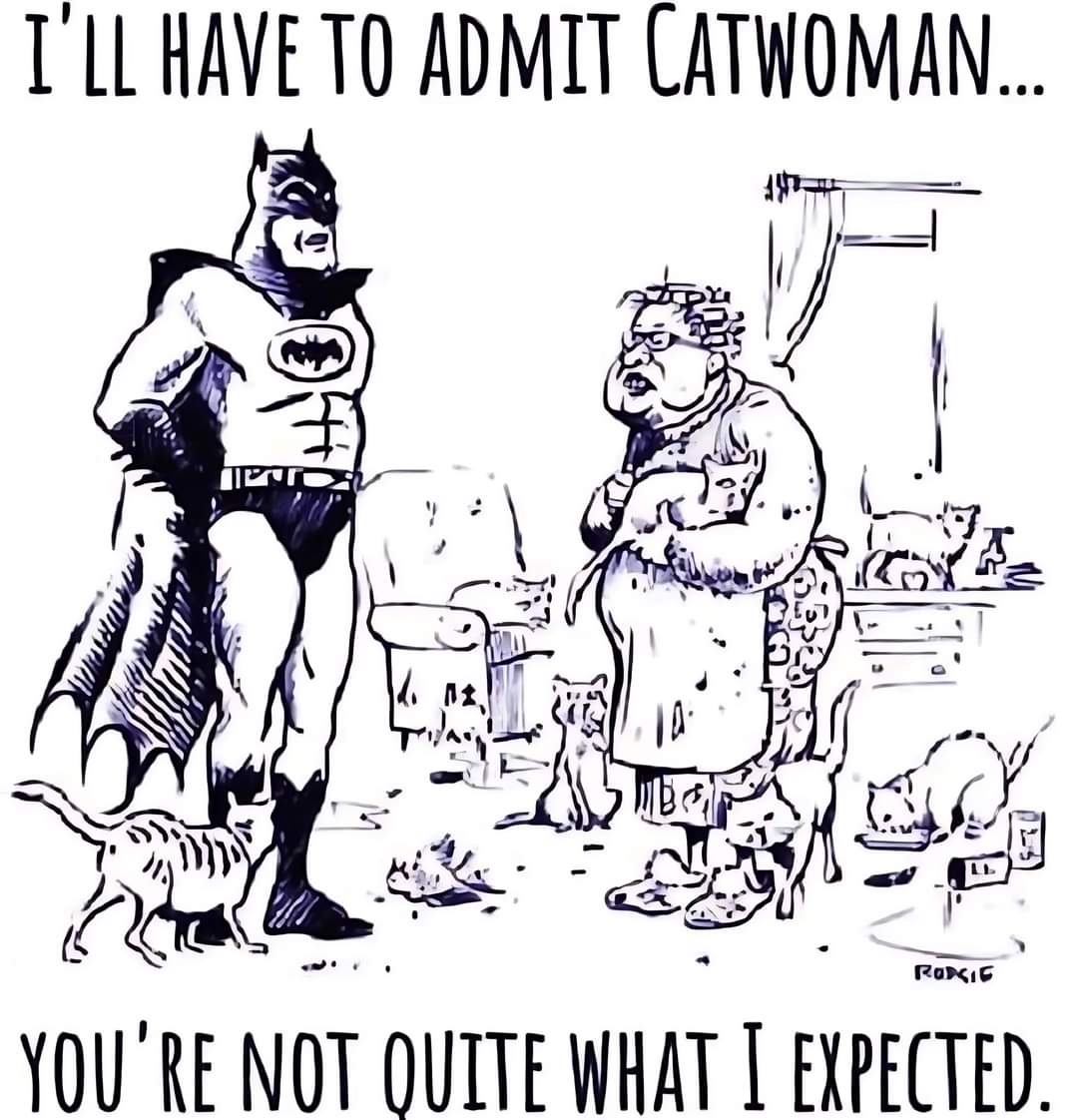 To my fellow cat women