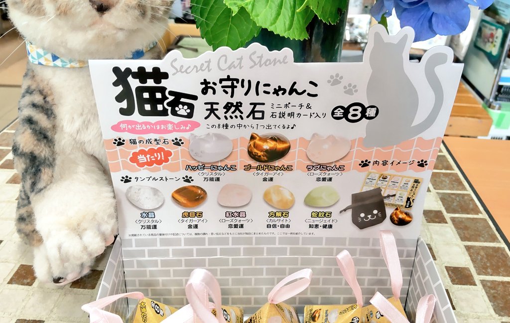 🐱猫石🐱 にゃんとも可愛い天然石のお守りが入荷しました！ 当たりは猫