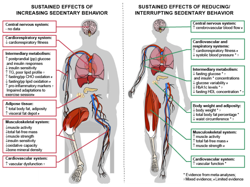 jacksonfyfe's tweet photo. Regular exercise is important.

But it’s easy to neglect the other parts of the day where we may be largely sedentary.

That’s where the power of short “activity breaks” come in.

And why it’s important to not only move more, but move often.

https://t.co/IUK1mwVO9U