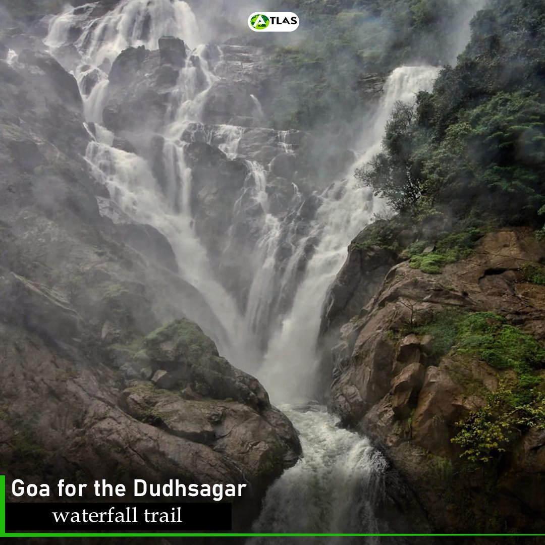 AtlasTravel_In's tweet image. Looking for cool places to visit in the monsoon in India? 🌧️ Check out these spots to get soaked and have fun! 🌂✨
.
.
.
.
#monsoonmagic #indianmonsoon #monsoontravels #monsoonadventures #rainydestination #monsoonfun #travelindia #RainyLife #explorepage