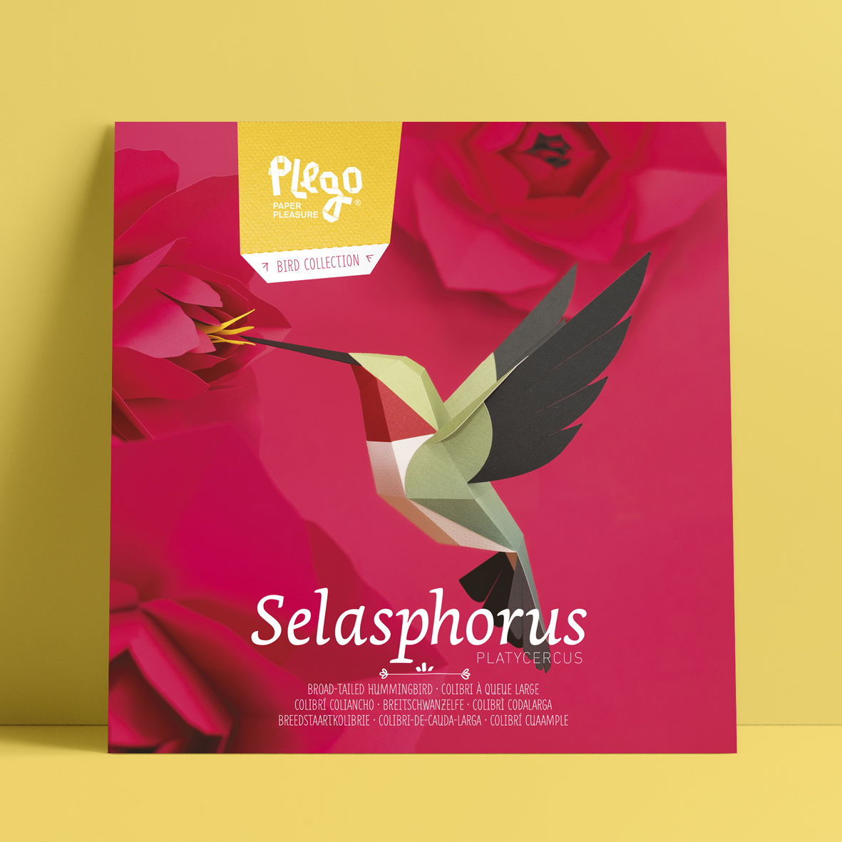 plegopaper's tweet image. Un colibrí ens ha vingut a veure aquest matí!

#plego #plegopaper #papermodel #paperpleasure #papercrafts #paperfigure #fold #foldinginlove #smartgift #artoffolding #newreleases
#hummingbird #broadtailedhummingbird #colibri #breitschwanzelfe #breedstaartkolibrie #colibrícuaample