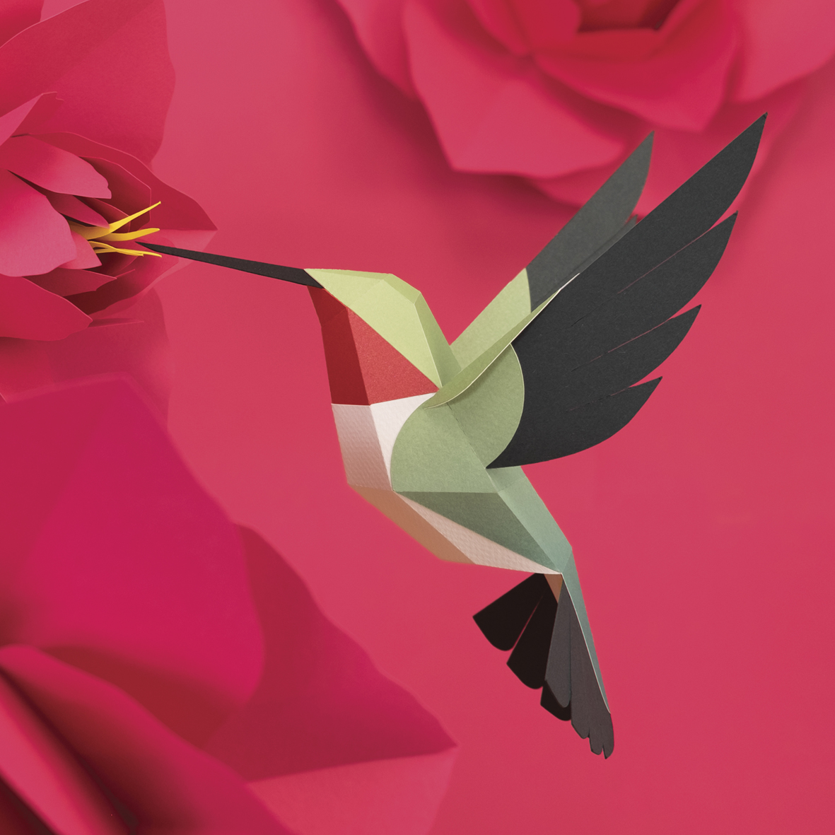 plegopaper's tweet image. Un colibrí ens ha vingut a veure aquest matí!

#plego #plegopaper #papermodel #paperpleasure #papercrafts #paperfigure #fold #foldinginlove #smartgift #artoffolding #newreleases
#hummingbird #broadtailedhummingbird #colibri #breitschwanzelfe #breedstaartkolibrie #colibrícuaample