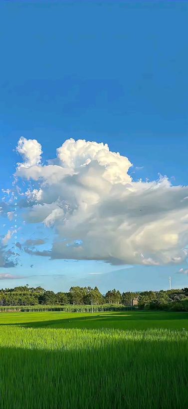 YousefA64314756's tweet photo. nephophilia ☁️💕 https://t.co/5JuRlPI8qU