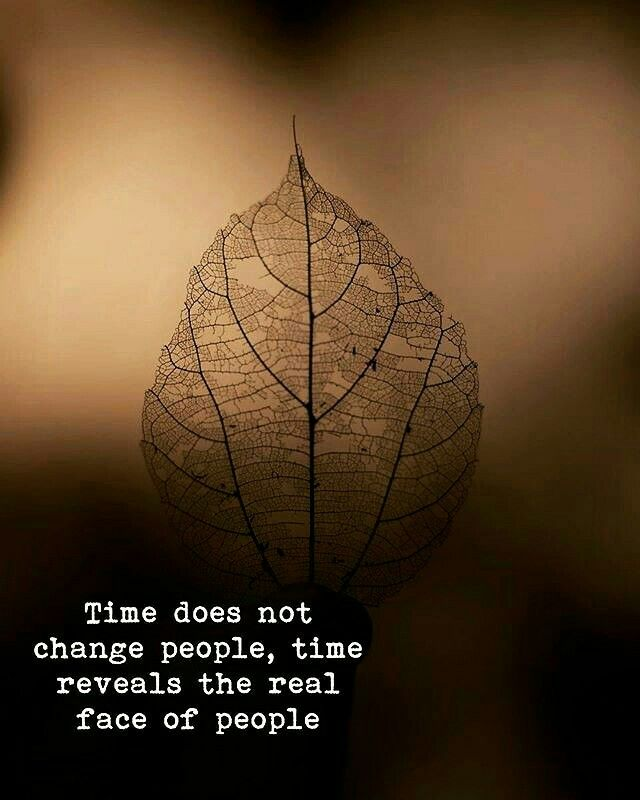 #IkOok 🇺🇦 (@keivaneenpapa) on Twitter photo 