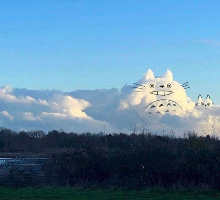 anime_'s tweet photo. Totoro cloud 🌥 https://t.co/1oSrFcErut