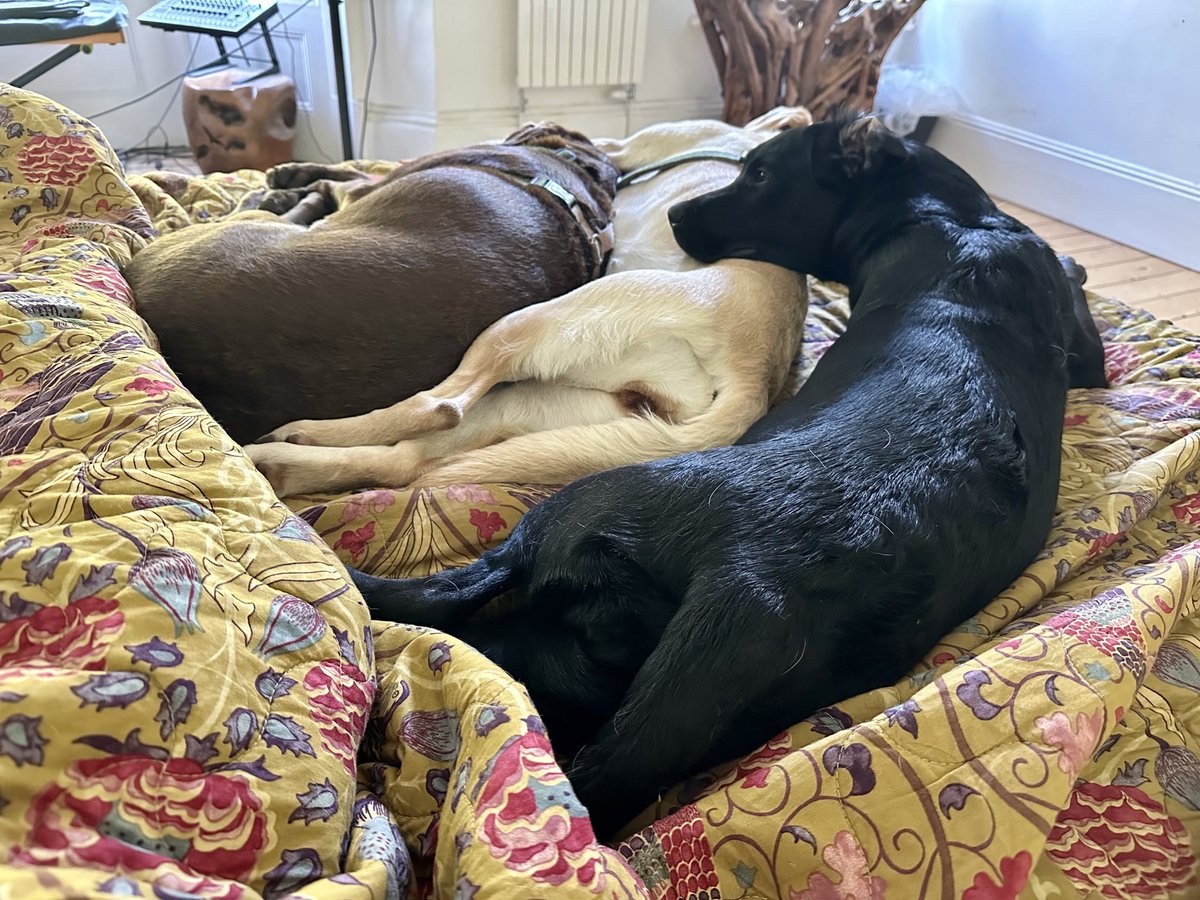kwoade's tweet photo. Having comprehensively trashed the girls at the beach, I have been allowed a long lie in! π₯ππ€
#ParallelParked https://t.co/WgiTJYw8jD