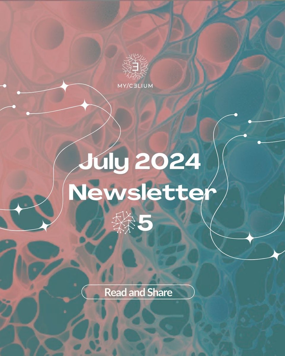 Mycelium Hub tweet media