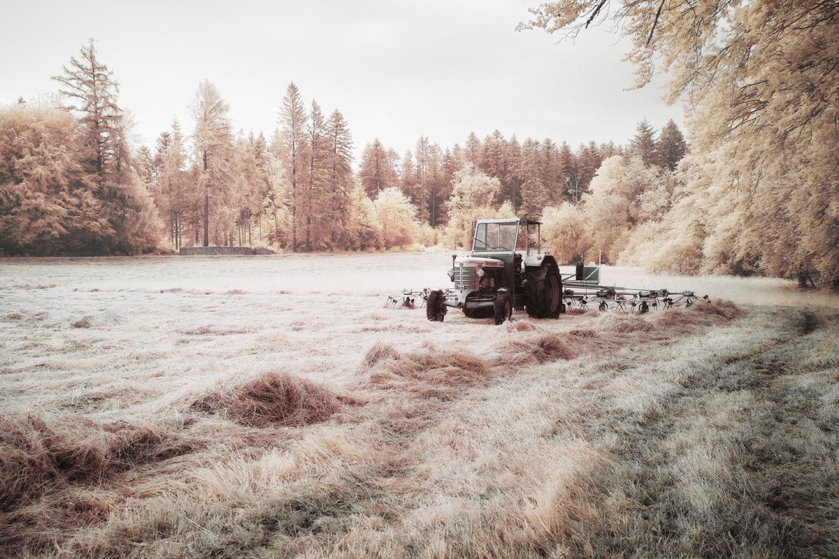 Jonas Hangartner tweet media