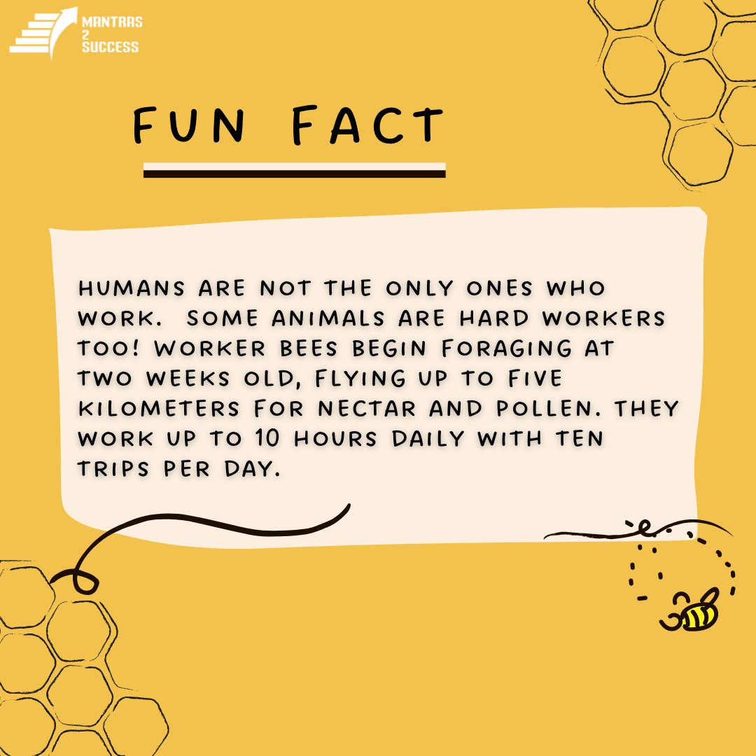 Mantras2Success's tweet image. Hard work and dedication come in all sizes.
DM us to join our WhatsApp groups
Instagram
lnkd.in/dhKX2iaS
Facebook
lnkd.in/dVXyyn4A
YouTube
lnkd.in/dKS_gz9k
Twitter
lnkd.in/dN-4jQcn
LinkedIn
lnkd.in/dcWmy7KX 
#mantras2success #UncommonExcellence