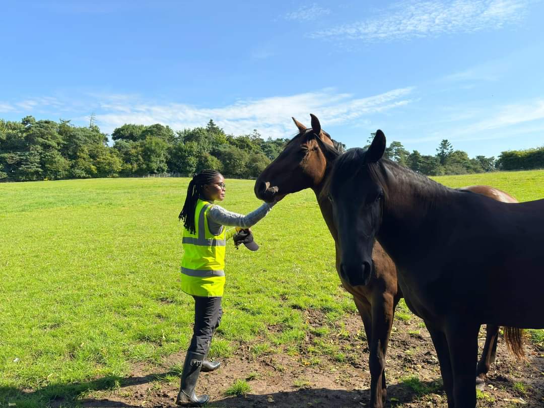 " Thời vận không thông , mưu cầu vô ích "