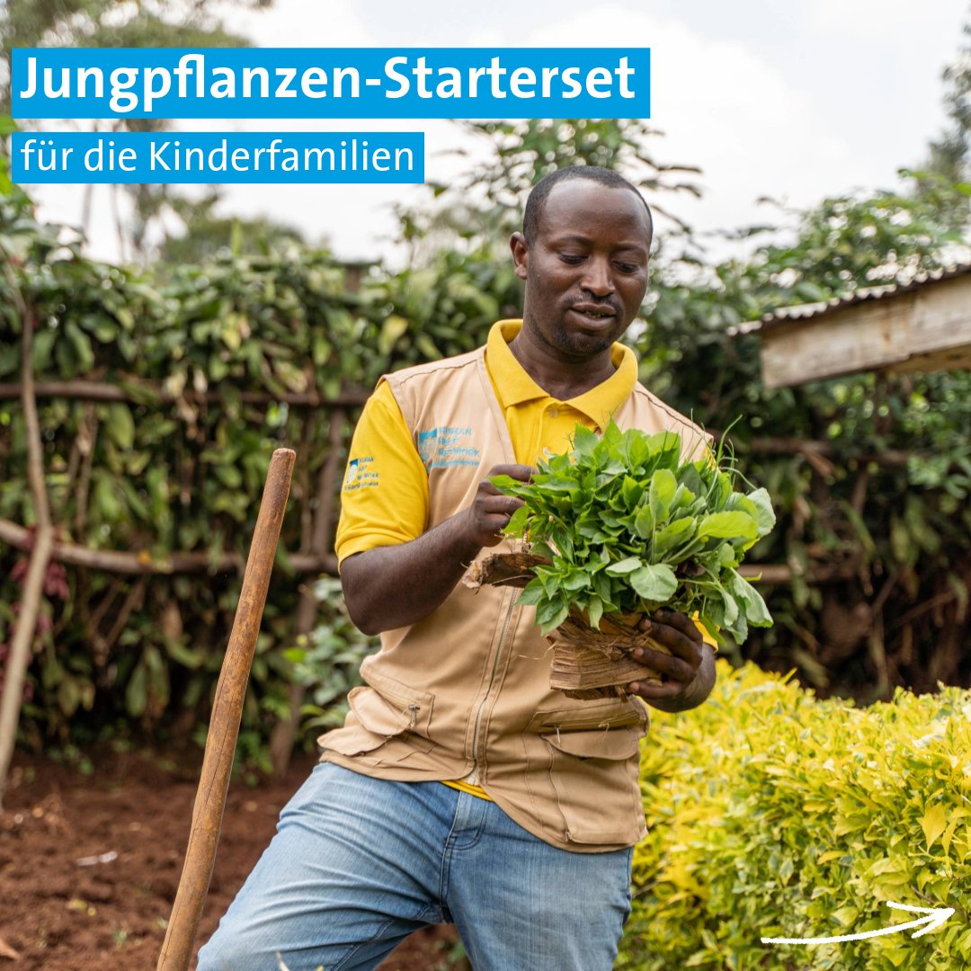 HHN_eV's tweet photo. Die Selbstversorgung durch Landwirtschaft ist ein wichtiger Teil des von Human Help Network und @Sfrwanda1 erstellten Hilfskonzepts für die Kinderfamilien im Südwesten Ruandas. Ein Schwerpunkt liegt auf dem Anbau heimischer Nahrungsmittel.
© Matias Björn, Mainz https://t.co/Nk2EbLKQYS