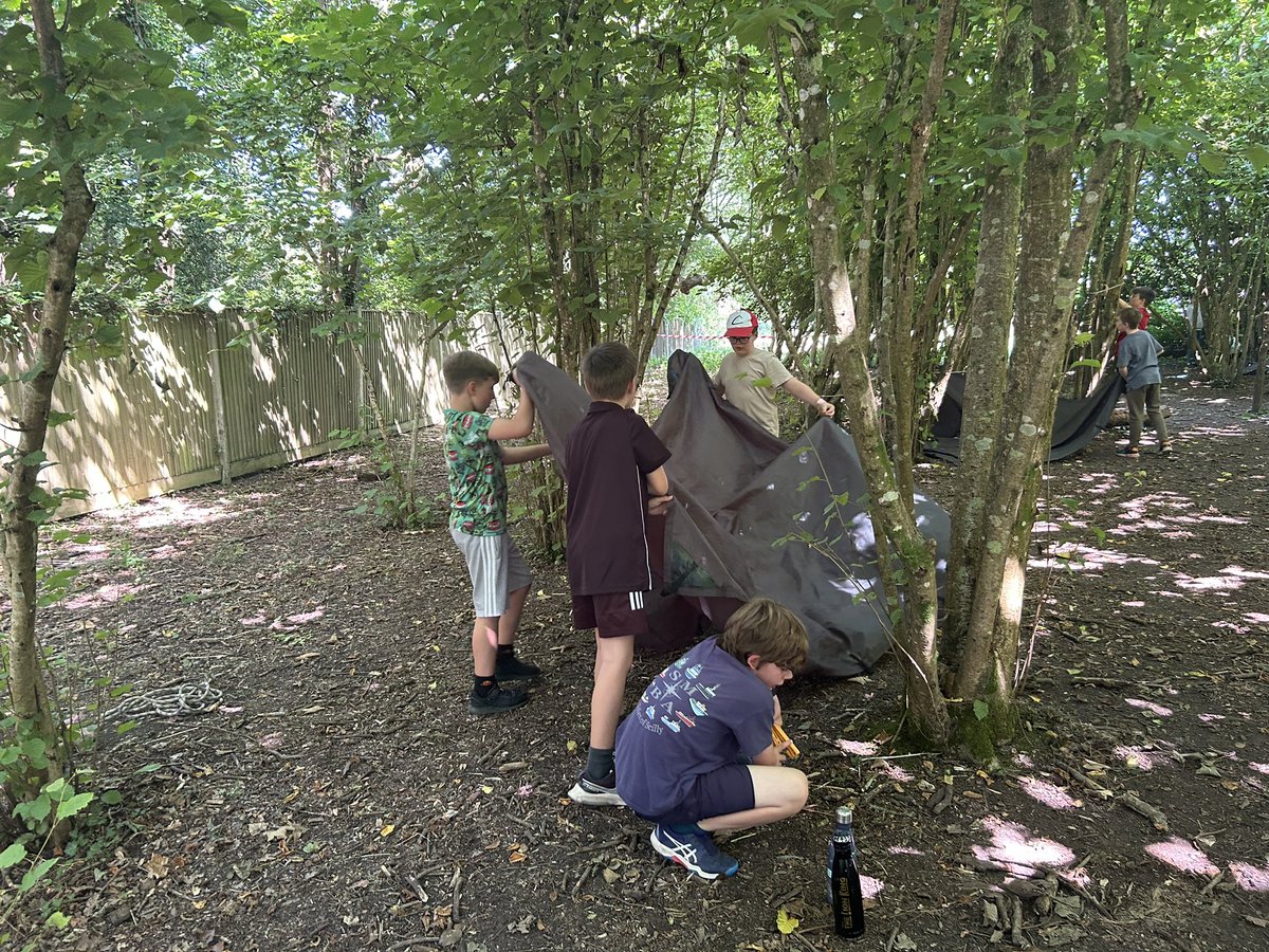 Pitton School tweet media