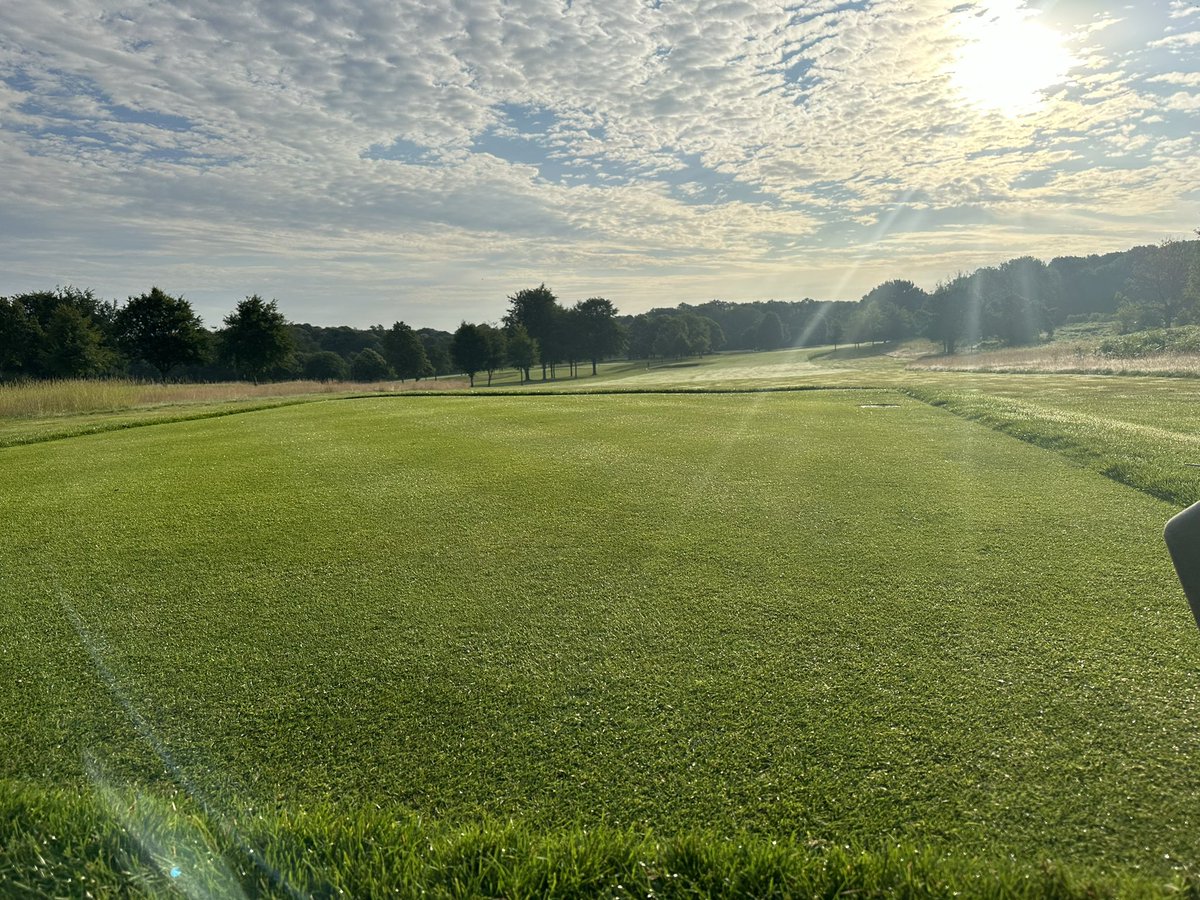 SamuelGaster's tweet photo. Sweaty one this morning😰 https://t.co/xBNAaSl0Hy