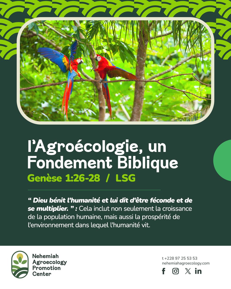Nehemiah Agroecology Promotion Center tweet media