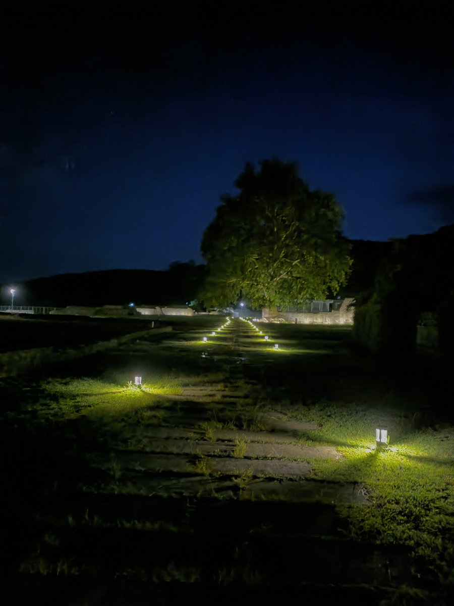 Zoe__Em's tweet image. As I'm doing a working holiday in Georiga, volunteering on and visiting rather impressive sites (photos of site last night), I've 2 questions for #AskAnArchaeologist day: 
What's the "coolest" site you've worked on?
What's the best animal you’ve had on site?
#archaeology