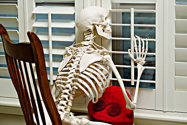DennyWena's tweet photo. @ImAPatriotSA @CyrilRamaphosa @GaytonMcK @MjovoWengulube @KommanderOD EFF, still waiting🤣 https://t.co/UR7K91YCHa