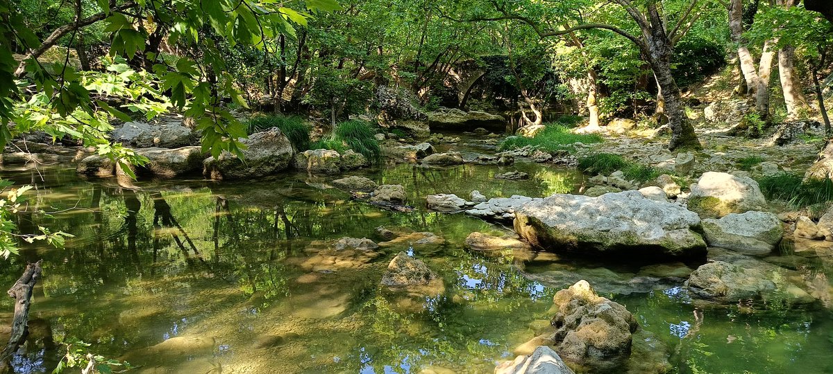 Gelmek isteyen varmı