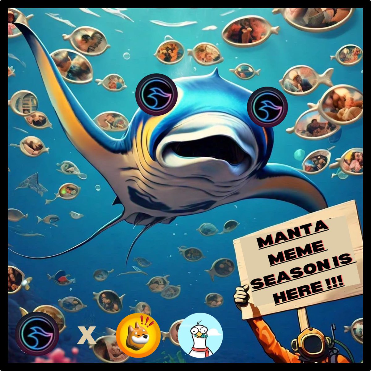 🅼🅰🅽🆃🅰 🅼🅴🅼🅴 🆂🅴🅰🆂🅾🅽 🅸🆂 🅷🅴🆁🅴!!! 

We're teaming up with <a href="/bonk_inu/">BONK!!!</a> and <a href="/GullNetwork/">Gull AI</a> to bring you the most epic meme season yet! ✨✨

Stay tuned for a summer of non-stop laughs, memes, and fun in the sun with your favorite <a href="/MantaNetwork/">Manta Network (🔱,🔱)</a> ray. 👀🔥

Don't miss out