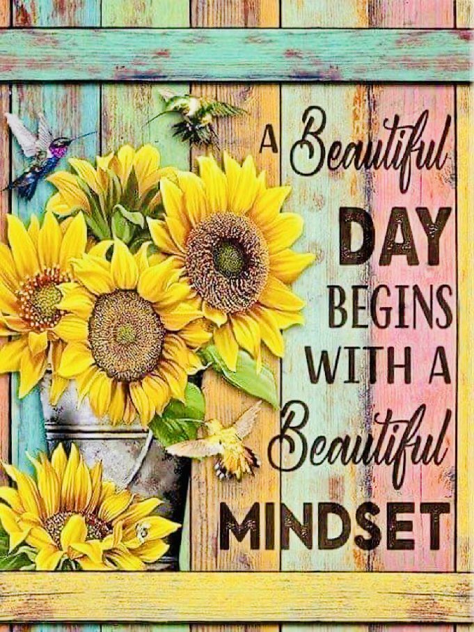 ✨✨Daniella✨✨ (@misssarkypants) on Twitter photo 