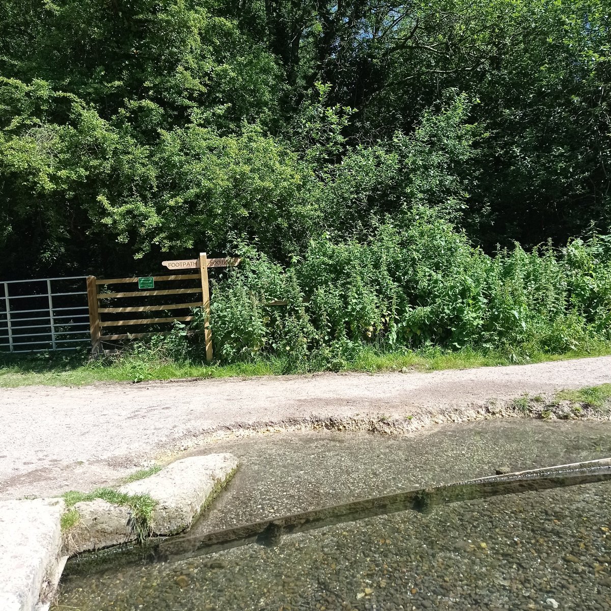MadelaineCSmith's tweet image. New Finger post on a path we have walked many times.

#NunsWalk #PilgrimsWay #Winchester #FingerpostFriday
@artcath