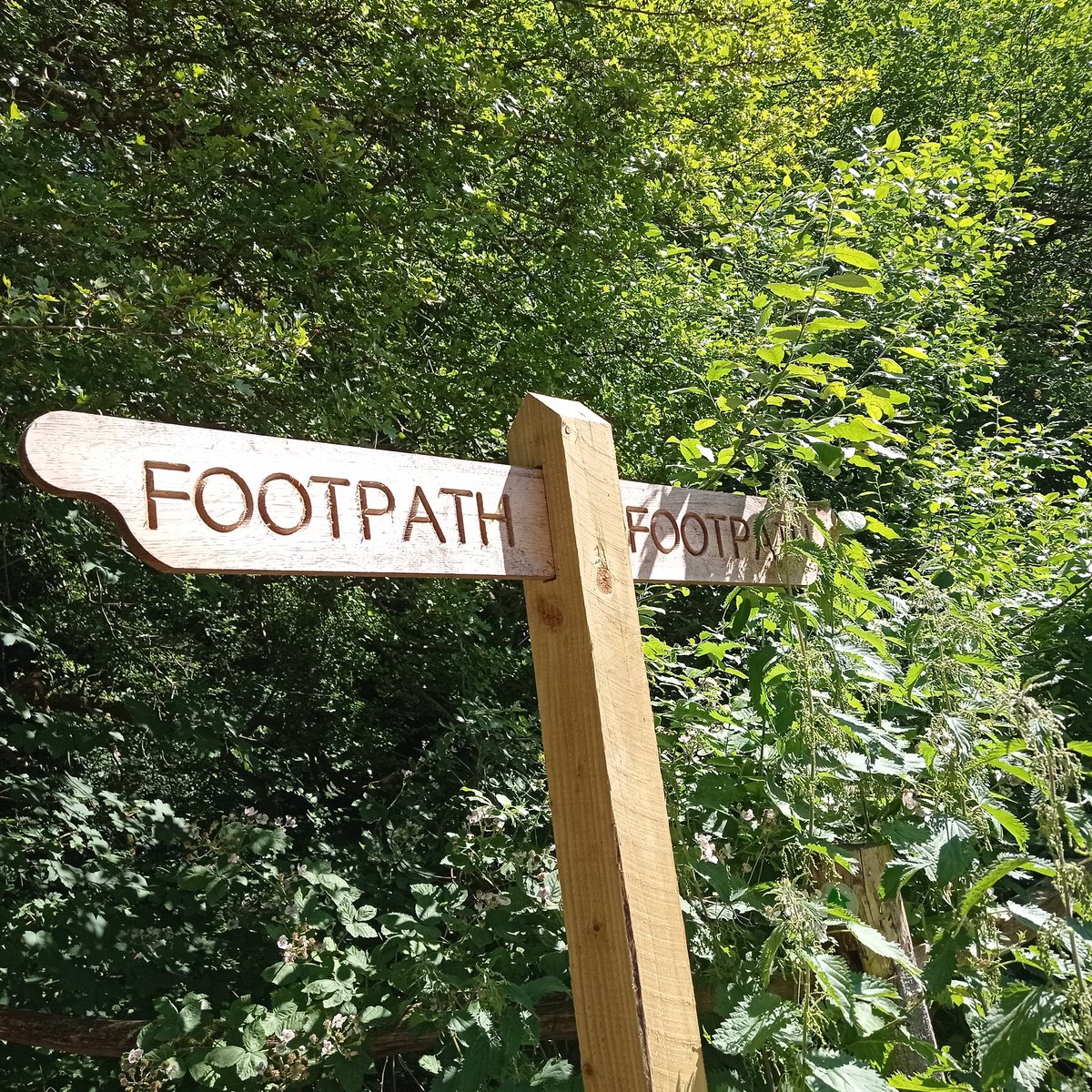 MadelaineCSmith's tweet image. New Finger post on a path we have walked many times.

#NunsWalk #PilgrimsWay #Winchester #FingerpostFriday
@artcath