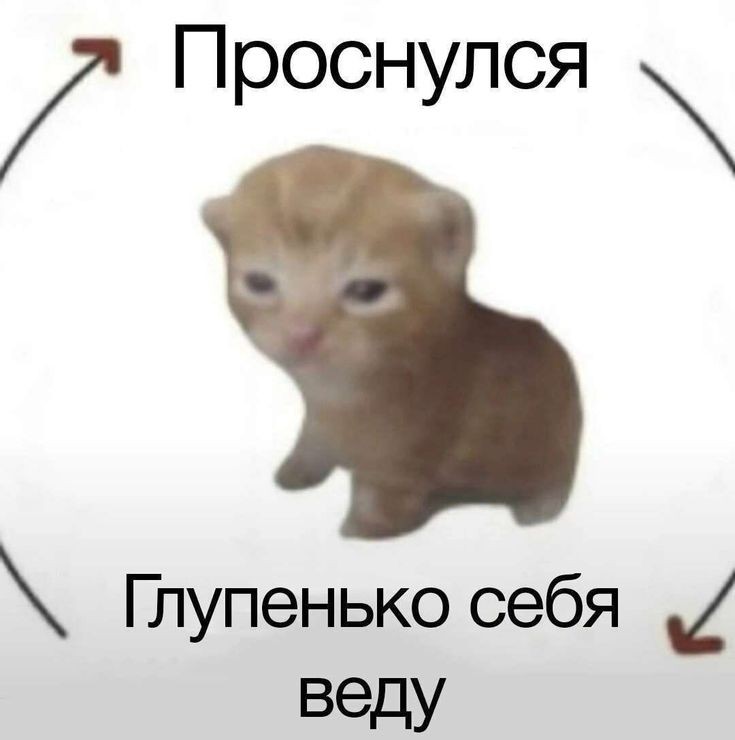 ну тупа я