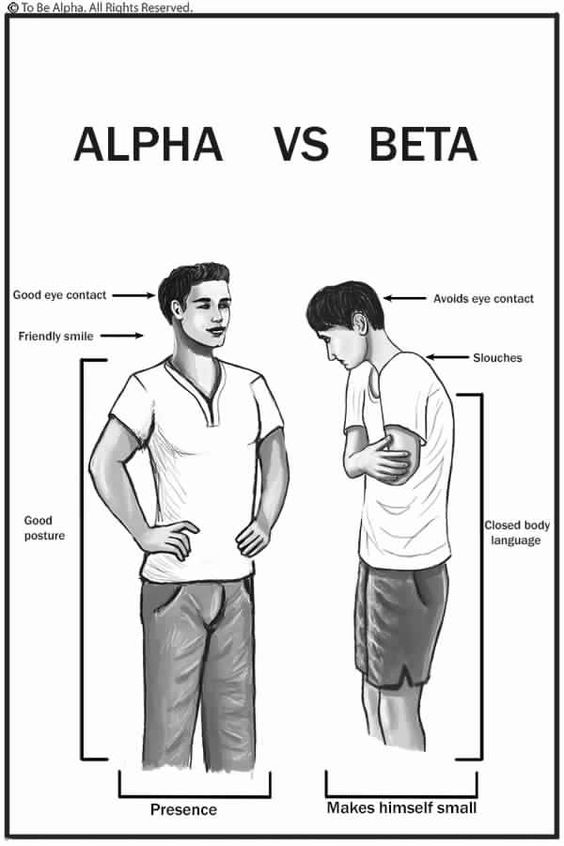 How Alpha Men Instantly Get Women OBSESSED With Them 

15 Traits of An Alpha Man

1. Alpha Man does not need others' approval: