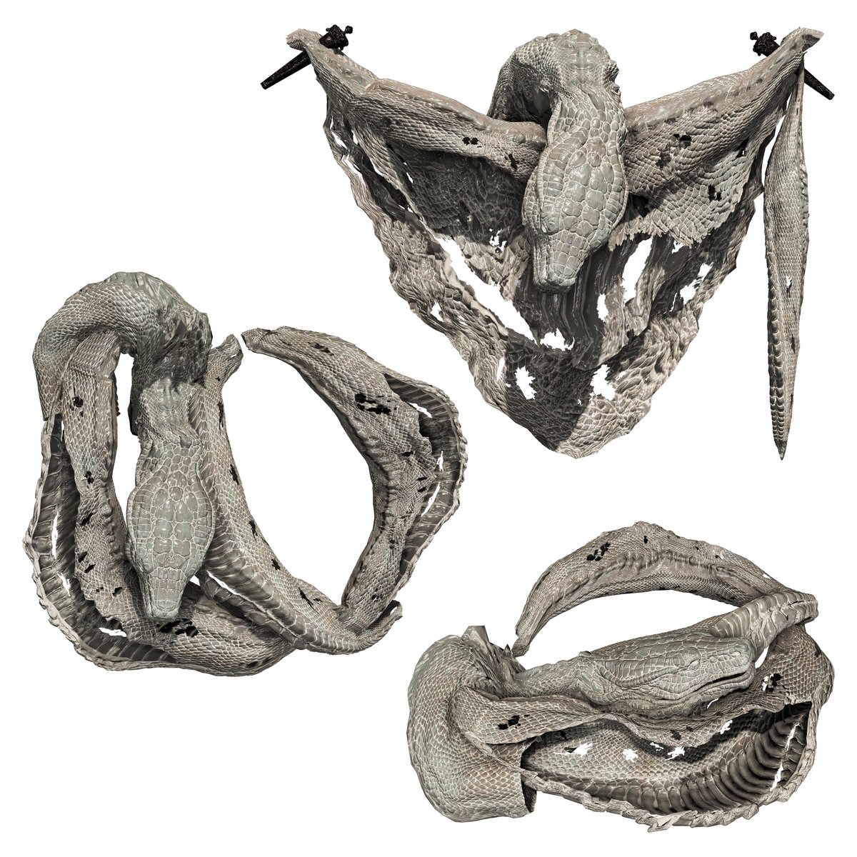 蛇の抜け殻 / Snake Skin 火山館(Volcano Manor): Top Right ボ二村