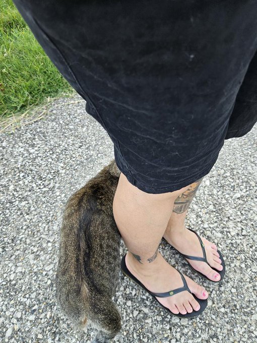 LOPOTICHAT QUI EST VENU ME CARRESSER 😭😭😭😭😭❤️❤️❤️❤️❤️ https://t.co/TcYk3GpjMY