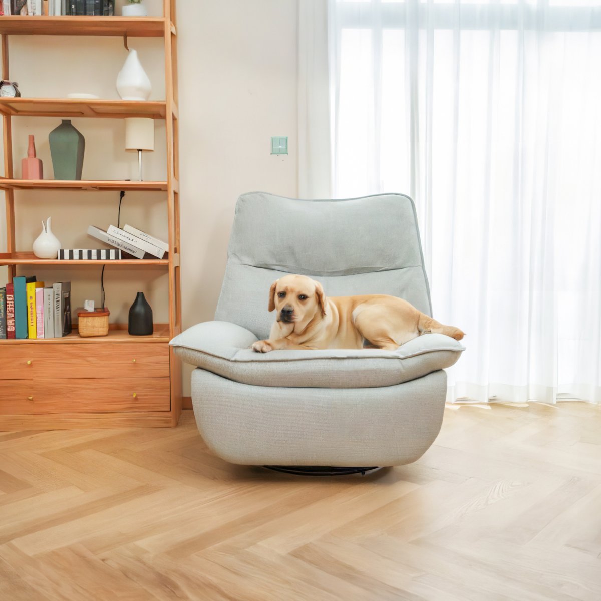 Poppy se détend sur notre fauteuil Lotus XR6... À quoi pensez-vous qu'elle réfléchit ? 🐾💭