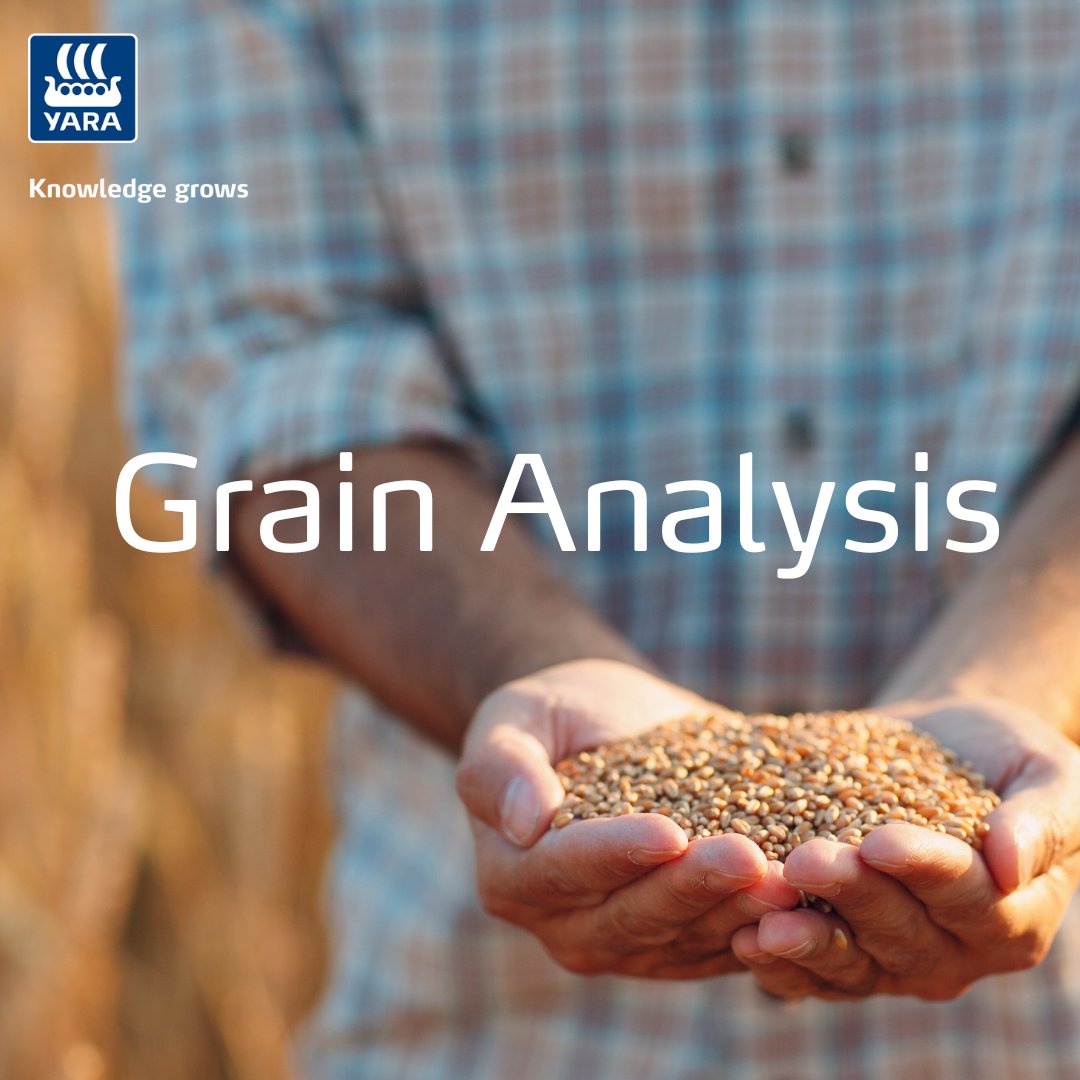 Our grain analysis services offer a range of options, from basic N:S ratio analysis to broad spectrum nutrient level testing.🌾

With our analyses, you can take the guesswork out of nutrient management and optimise the health and yield of your crops.📈

🔗ow.ly/nM2u50SC939