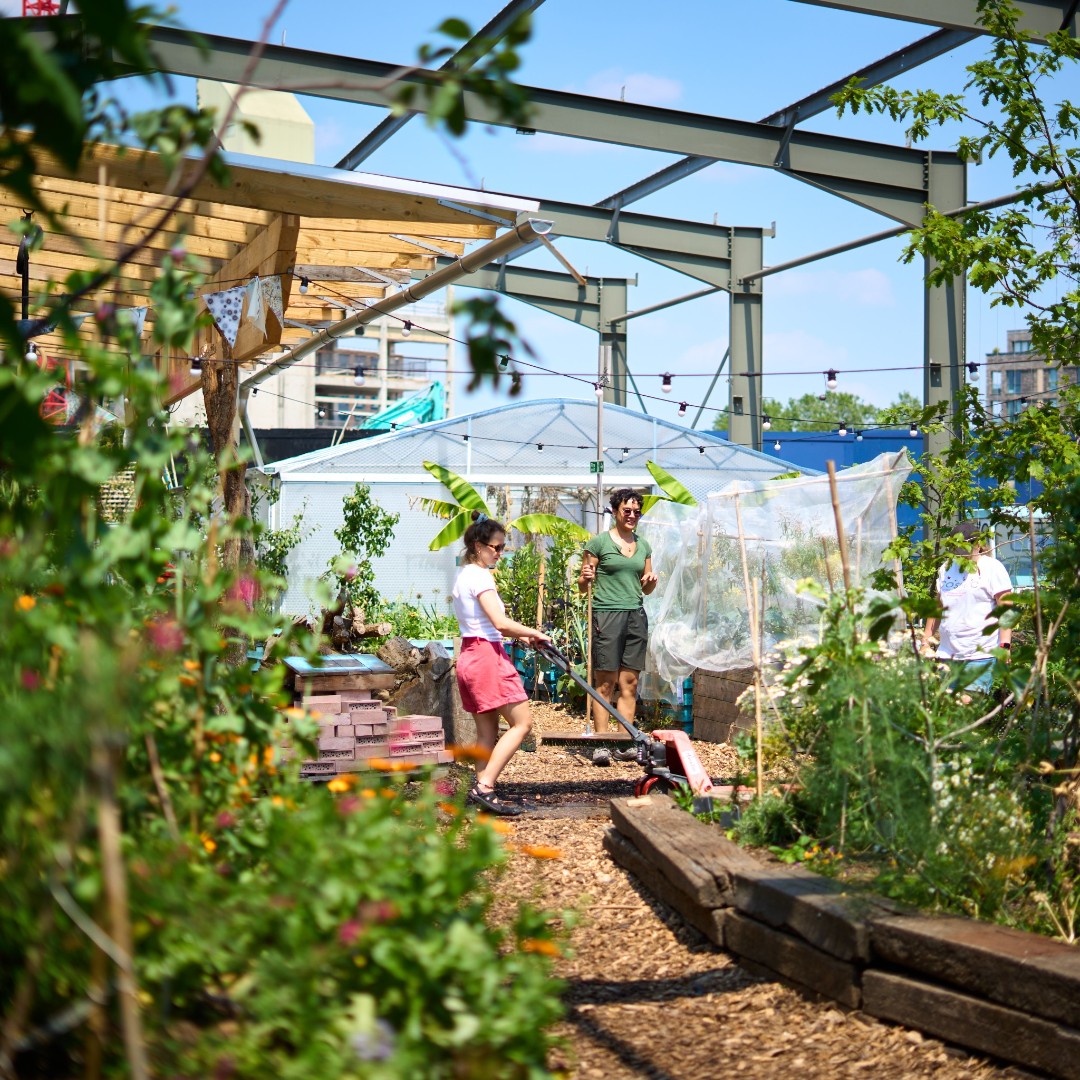 Canada Water Masterplan tweet media